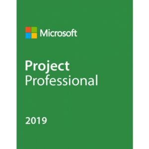 project 2019 pro 1